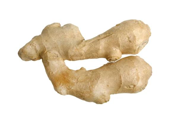 stock image Ginger root