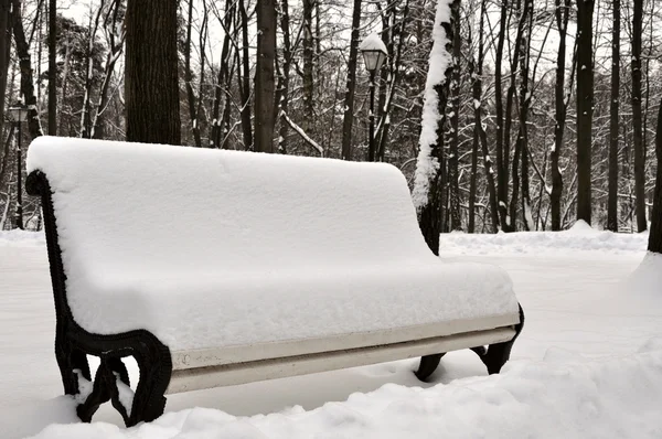 Snö täckt bänk — Stockfoto