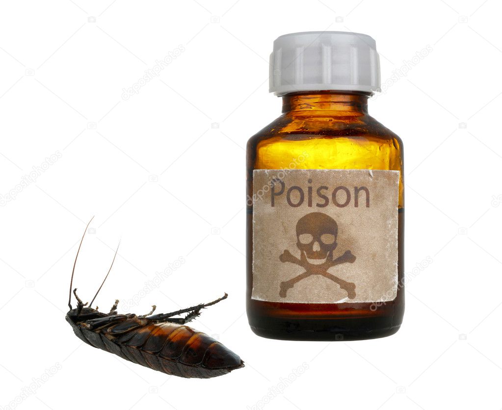 Old bottle of poison and dead cockroach