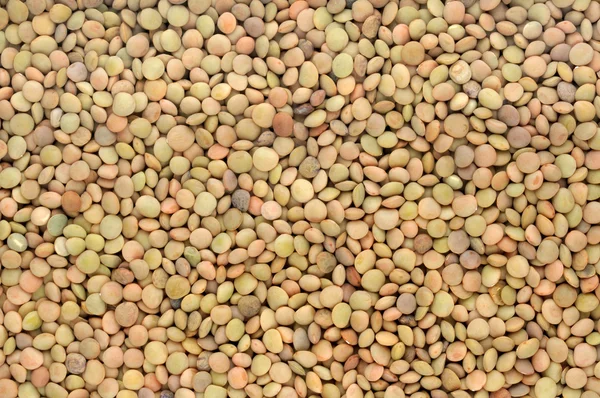 Background of brown lentils — Stock Photo, Image