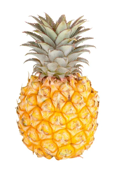 stock image Fresh pineapple