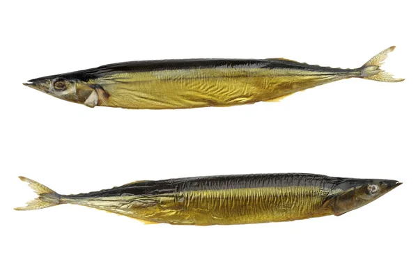 秋刀魚のスモーク — ストック写真