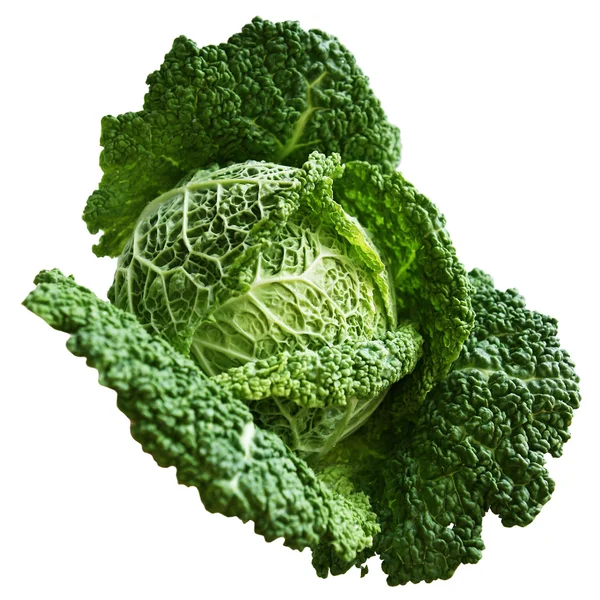 Green cabbage isolated on white background. — Stock Photo, Image