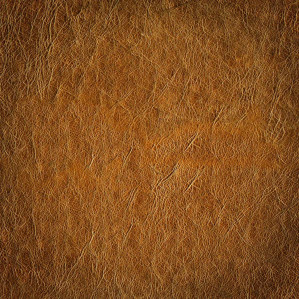 HQ leather texture. — Stock Photo, Image