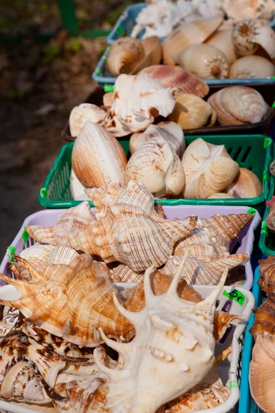 stock image Souvenirs