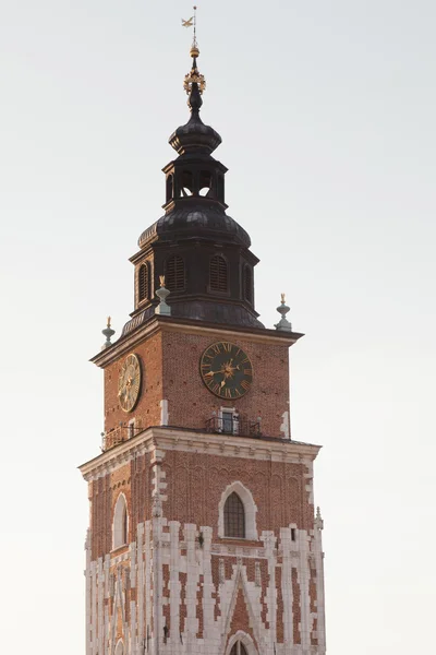 Town Hall Tower — Stock Photo, Image
