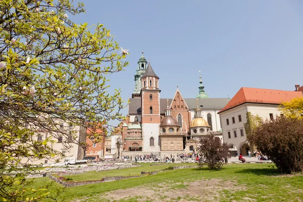 Wawel Cathedral — Stock Photo, Image