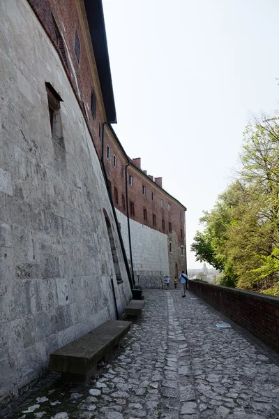 Castillo de Wawel — Foto de Stock