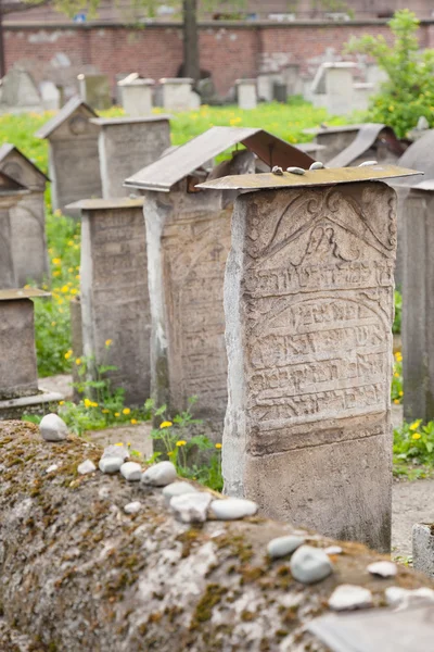 Old Jewish cemetery — Stock Photo, Image