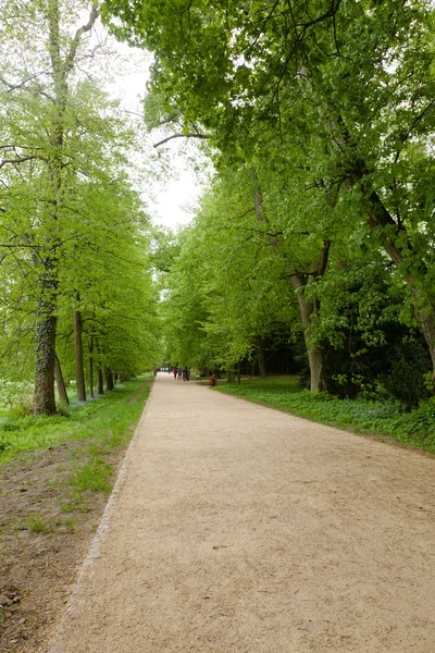 stock image Kornik Arboretum