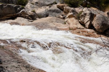 Güney nehir krallar