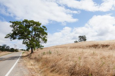 Mariposa Foothills