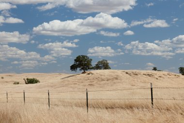 Mariposa Foothills