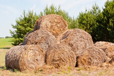 haystacks