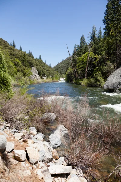 South Fork Kings River — Stock Photo, Image