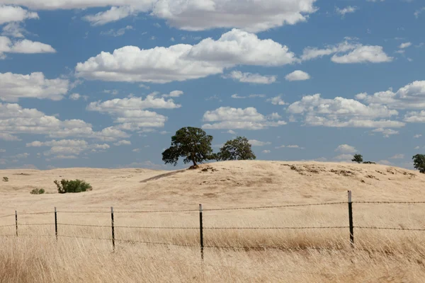 stock image Mariposa Foothills