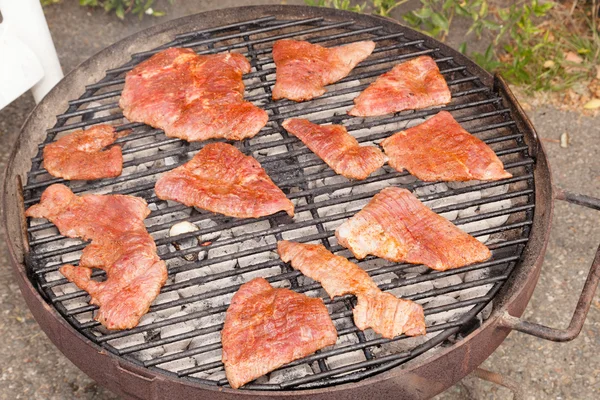 Garden grilling — Stock Photo, Image