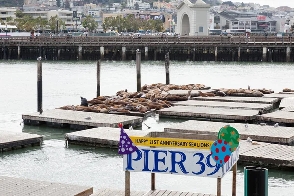 Pier 39 — Stock Photo, Image