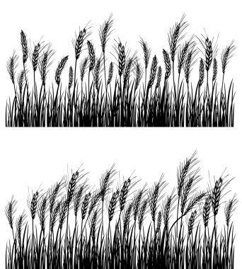 Field of wheat clipart