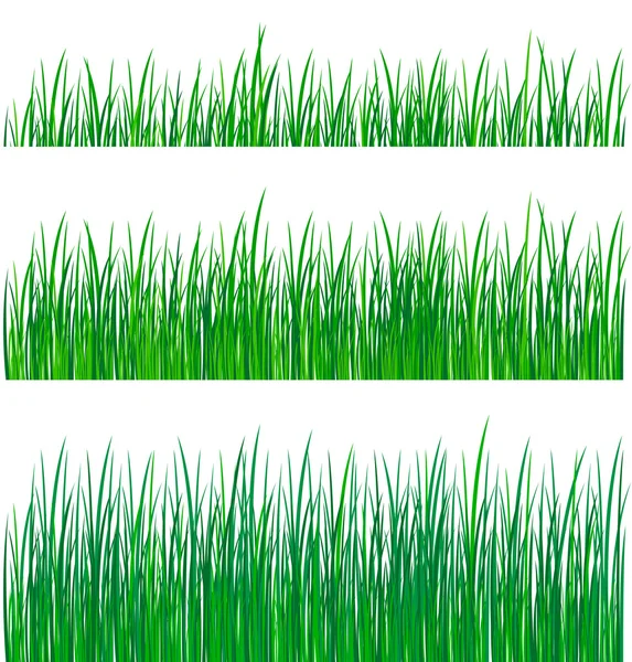 stock vector Green grass