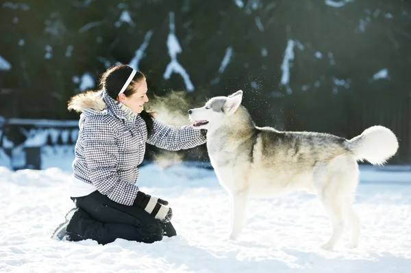 Женщина играет с сибирской хаски-собакой зимой — стоковое фото