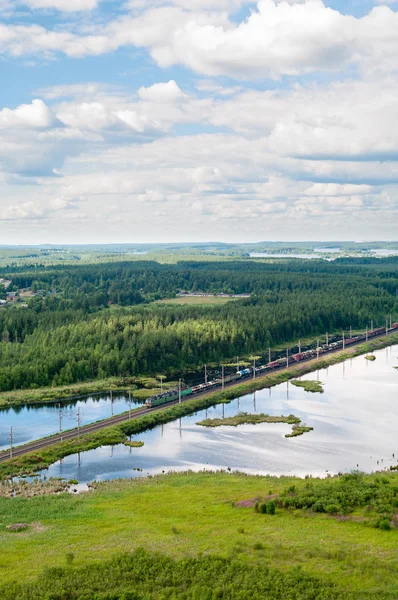Eisenbahnverkehr. Güterzug zwischen immergrünen Wäldern. Luftbild — Stockfoto