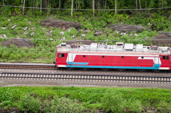 Železniční doprava. nákladní vlak mezi stálezelené lesy. Letecký pohled — Stock fotografie