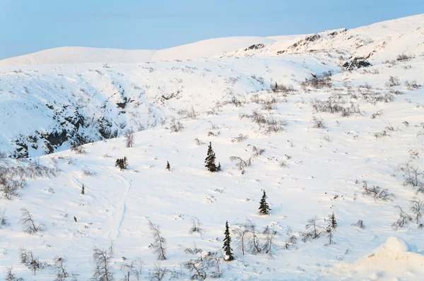 Polarnatten i bergen i norra tundra — Φωτογραφία Αρχείου