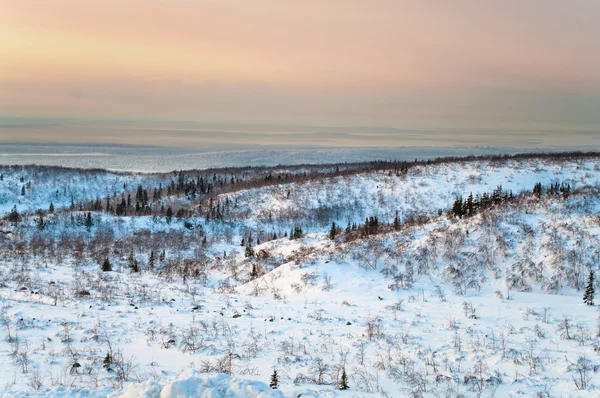 Noche polar en las montañas de la tundra norte — Foto de Stock