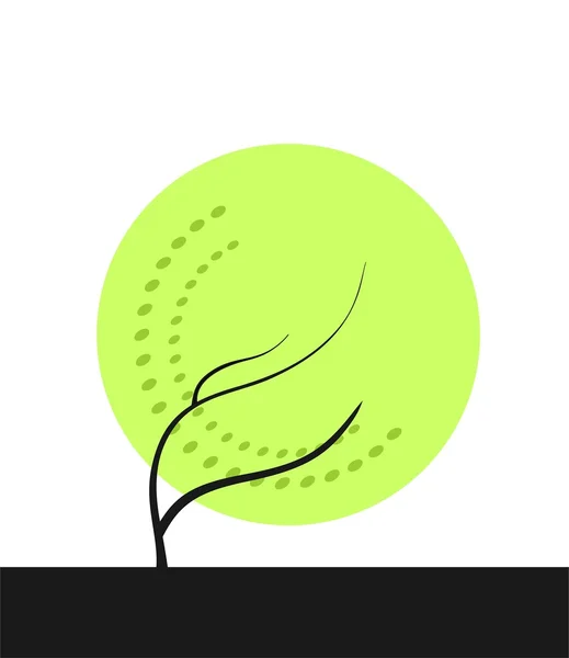 Зелене дерево — стокове фото