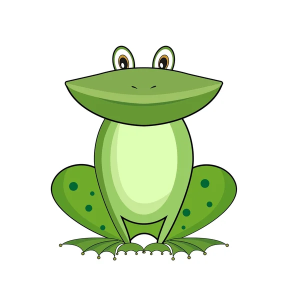 stock image Green frog