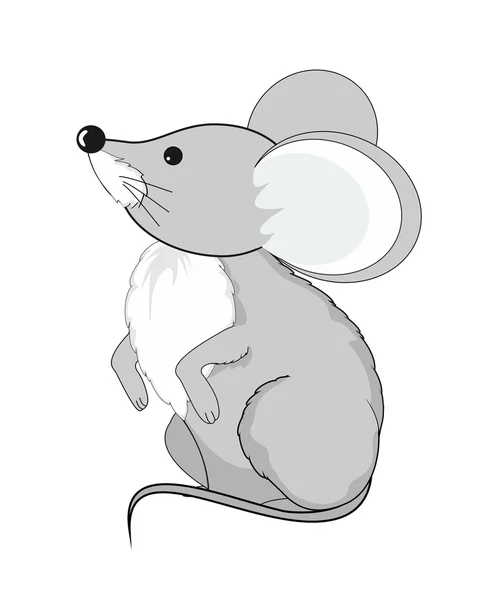 Γκρι ποντίκι — Φωτογραφία Αρχείου