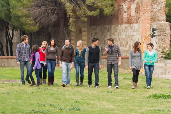 Multicultural Group of Walking Together — Stock Photo, Image
