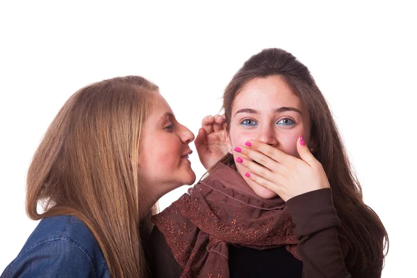 Meisjes fluisteren een geheim — Stockfoto