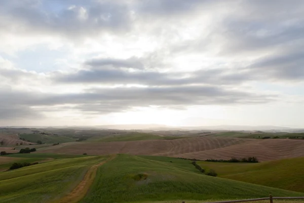 Toscana hills på sunrise — Stockfoto