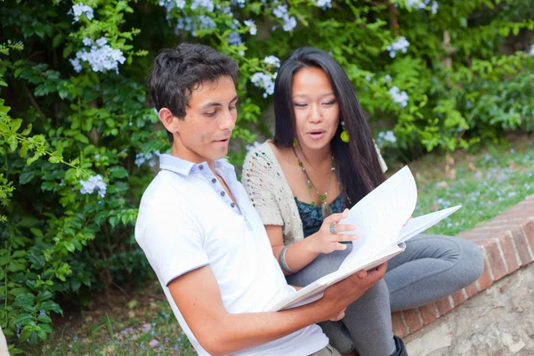 Multicultural Couple of College Students Stock Photo