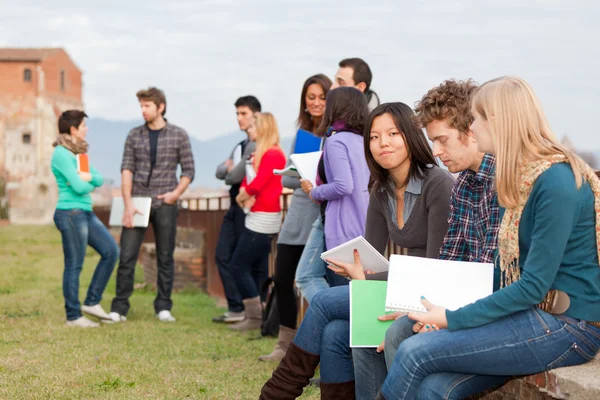 Gruppe von multirassischen College-Studenten — Stockfoto