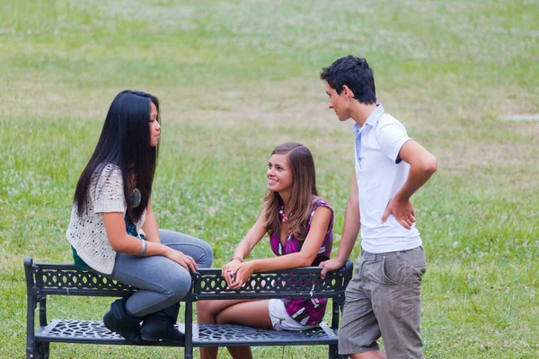 Группа подростков разговаривает в парке — стоковое фото