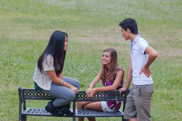 公園で話しているティーンエイ ジャーのグループ — ストック写真