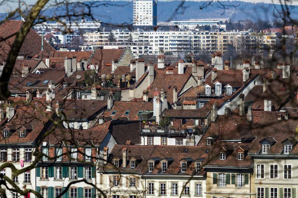 Old City of Bern seen though some Branches — Stock Photo, Image