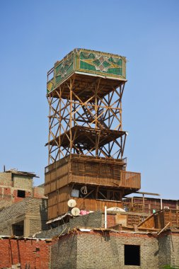 Mısır'daki özel aviculture