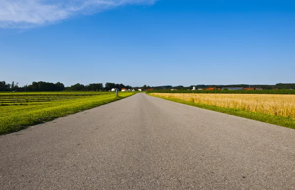 Asfalt yolu — Stok fotoğraf