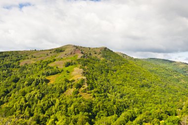 Fransız alps