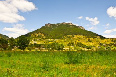 Fransız alps