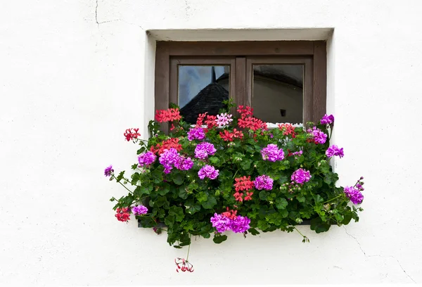 stock image Bavarian Window