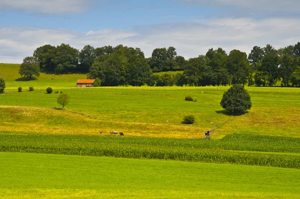 Germany Landscape — Stock Photo, Image