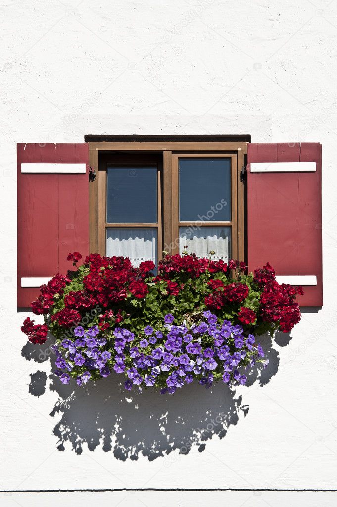 Bavarian Window