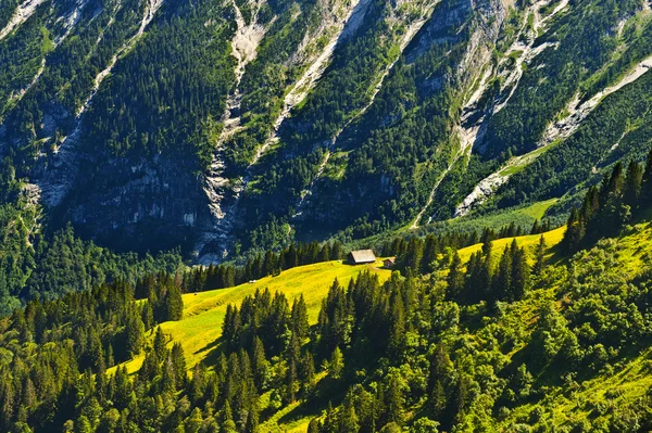 Alpes bavaroises — Photo