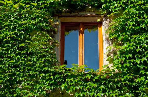 Francuski okno — Zdjęcie stockowe