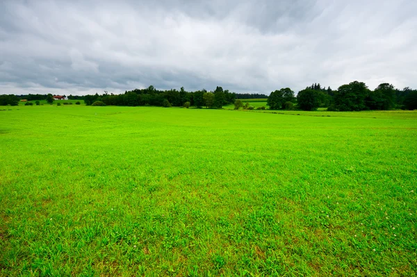 Pasture — Stock Photo, Image